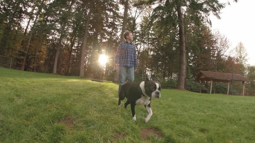 çimde köpek yürüyüş