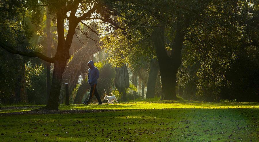 sabah kopek yuruyusu