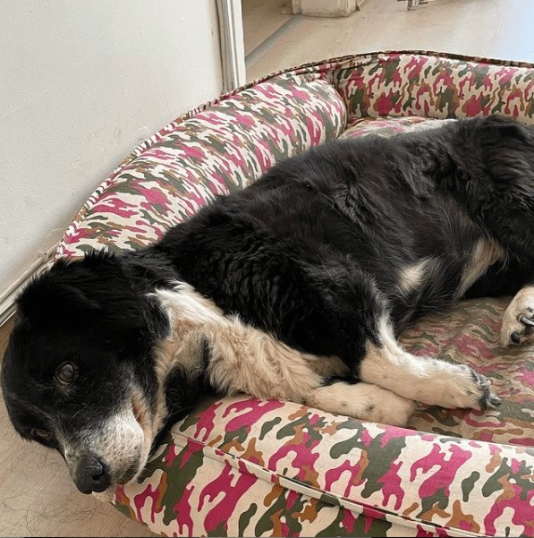 Ekran Resmi 2021 08 31 16.34.12