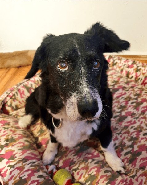 Ekran Resmi 2021 08 31 16.35.22