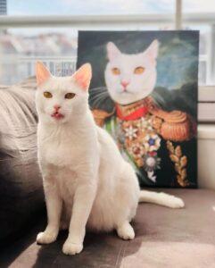 307281289 666637107805391 5304814880042460060 n 1