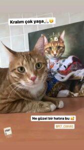 322854456 222051713504215 7956482686231600553 n