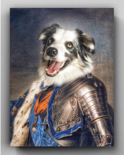 avustralya çoban köpeği asil tablosu