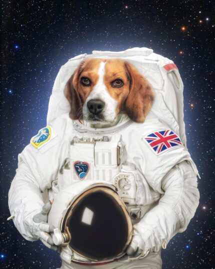 uzayda astronot köpek tablosu