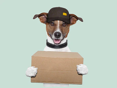 reason3 e497de2d 13bf 4a89 ac54 fedb19a24f2d