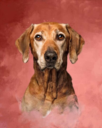 masterpiece portrait-red