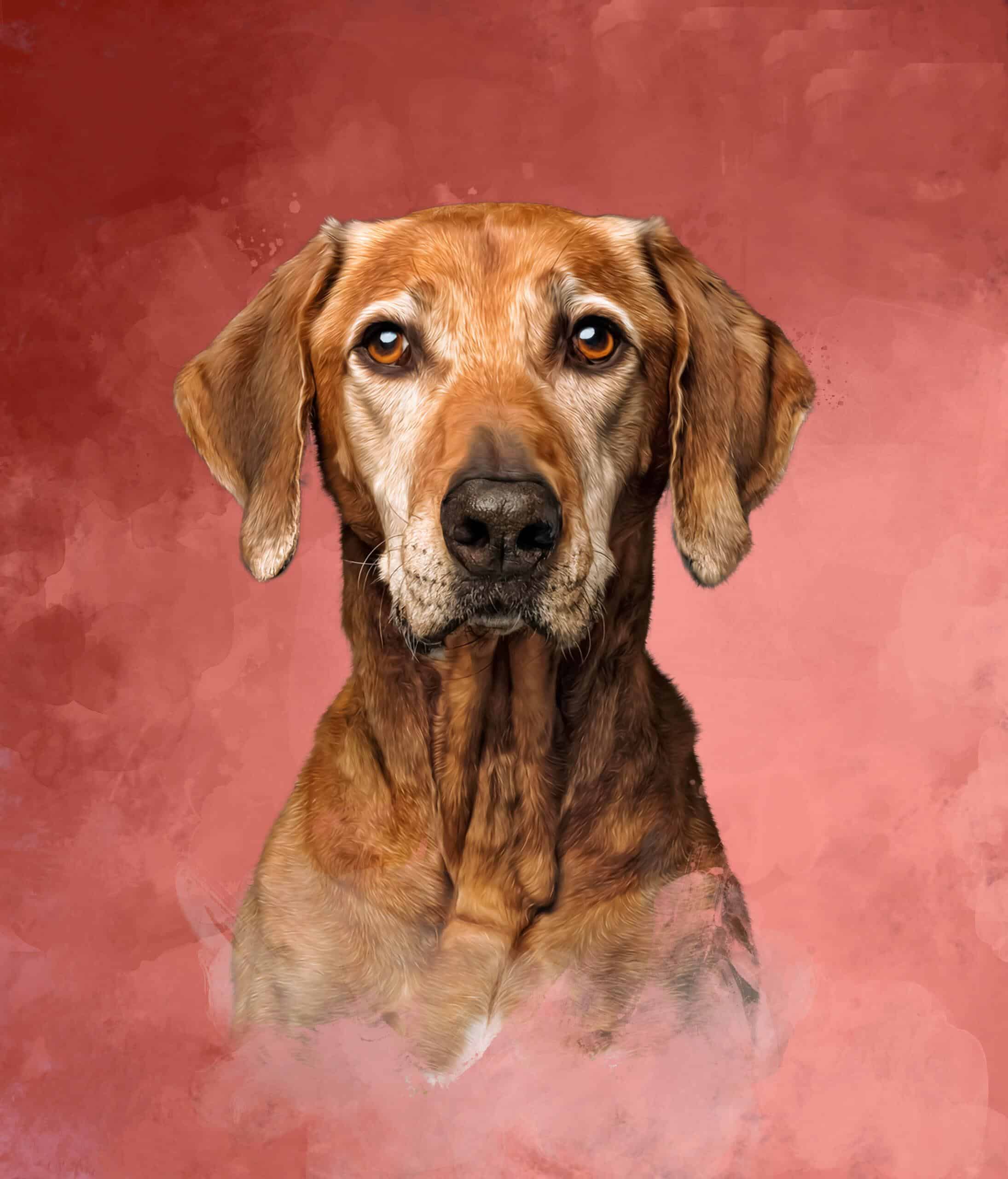 Masterpiece Portrait-Red masterpiece portrait-red