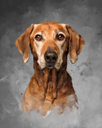 masterpiece-petcanvas-gray