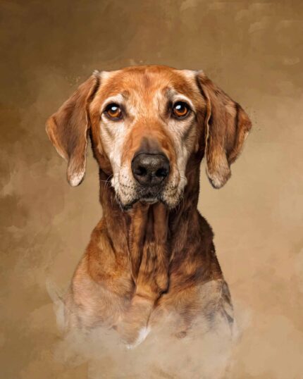 Masterpiece Portrait - Brown