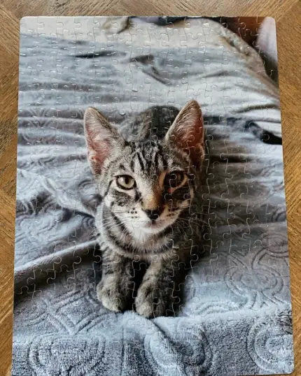 custom design cat puzzle