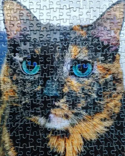 custom design cat puzzle