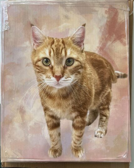 A lifelike orange tabby cat with green eyes stands on a pastel pink and beige background in the Masterpiece Portrait - Multicolor, making it perfect for custom design pet canvas lovers and ideal for unique canvas printing.