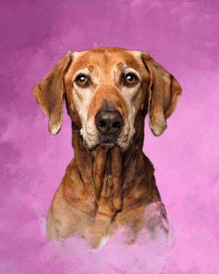 masterpiece portrait-pink