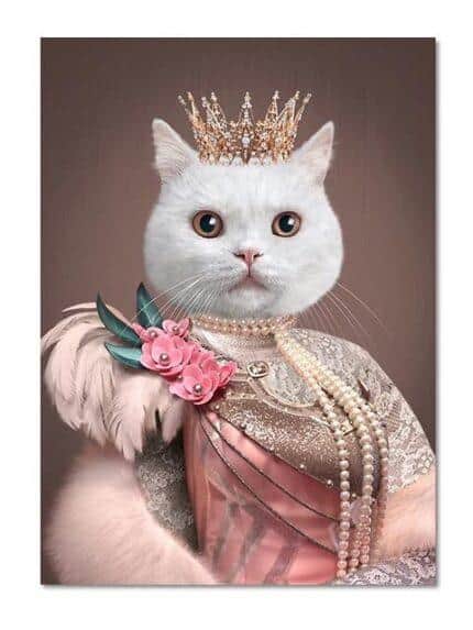 kraliçe beyaz kedi petcanvas