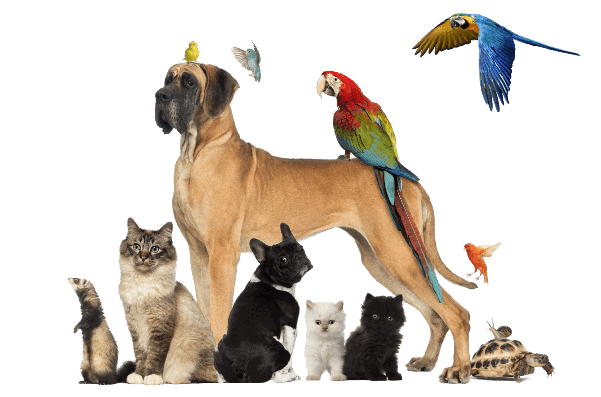 fe7af07625b0d467197ab57b41a1b192