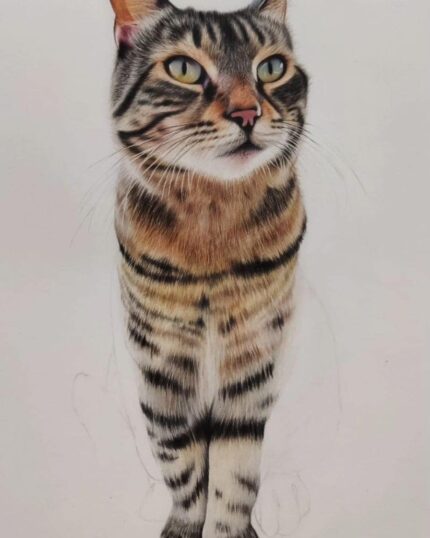 A Hyperrealist Color Pencil Animal Painting of a tabby cat with green eyes and black stripes, sitting upright on a plain white background. The unfinished lower body and sketch lines add custom design charm to this pet artwork.