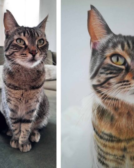 Side-by-side images: left, a tabby cat sits on a couch; right, a Hyperrealist Color Pencil Animal Painting perfectly captures the cat’s unique fur patterns and expression with striking realistic detail.