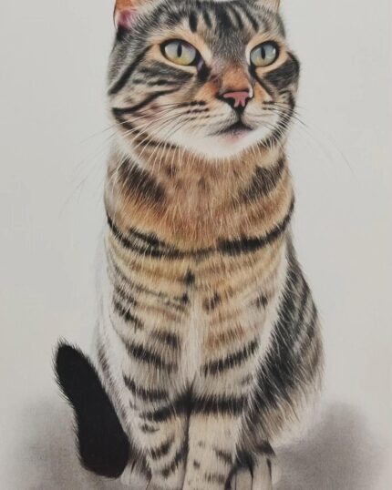 A tabby cat with green eyes and striped fur sits upright on a light surface—an ideal subject for Hyperrealist Color Pencil Animal Paintings.