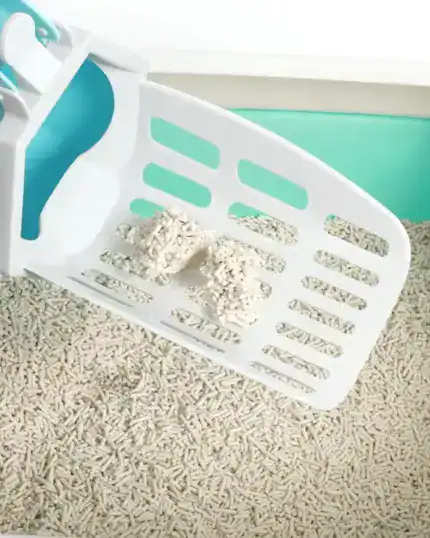 A close-up of the LitterLux Advanced Cat Litter Scoop with clumped litter above a turquoise litter box—great as inspiration for custom pet canvas art or unique canvas prints.