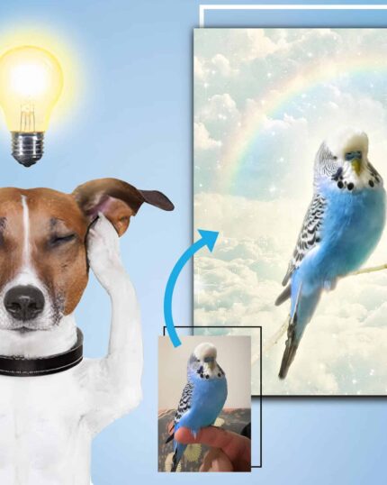 A dog with a glowing lightbulb covers its ears, while a budgie photo becomes a unique "Propose an Idea – Custom Design Pet Portrait" on canvas with a rainbow and clouds, perfect for custom pet canvas lovers.