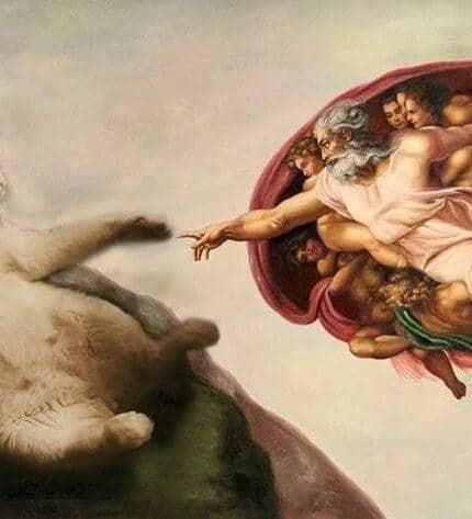 The "Propose an Idea – Custom Design Pet Portrait" is a humorous canvas artwork inspired by Michelangelo’s “The Creation of Adam,” with a large white cat on the left reaching out to God and angels on the right.