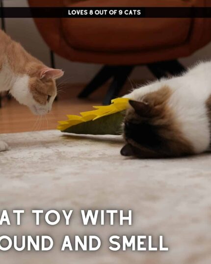 Two cats interact with a Pawdaz Large Dino Cat Toy on a carpeted floor. One sniffs it while the other watches. Text: Cat toy with sound and smell—loved by 8 out of 9 cats. Great for your custom pet canvas or printing project.