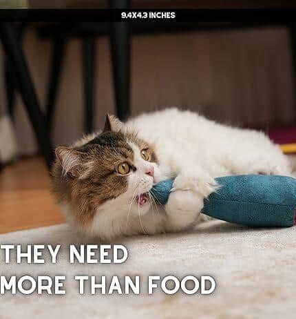 A fluffy cat lies on a rug, biting a blue Pawdaz Catnip Fish Toy—designed for anxiety relief and interactive fun. Large white text at the bottom reads: THEY NEED MORE THAN FOOD. Brighten their world with a custom pet canvas celebrating their spirit.