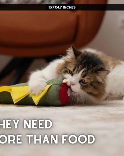 A fluffy cat lies on a rug, playfully biting the Pawdaz Large Dino Cat Toy. Bold white text reads, THEY NEED MORE THAN FOOD. Capture your favorite memory with a custom design pet canvas in the softly blurred background.