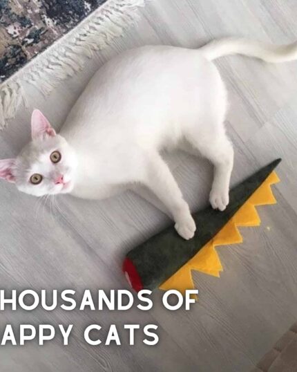 A white cat lies on a light floor beside the green and yellow Pawdaz Large Dino Cat Toy. The image text reads, Thousands of happy cats—celebrate yours with custom design pet canvas creations.
