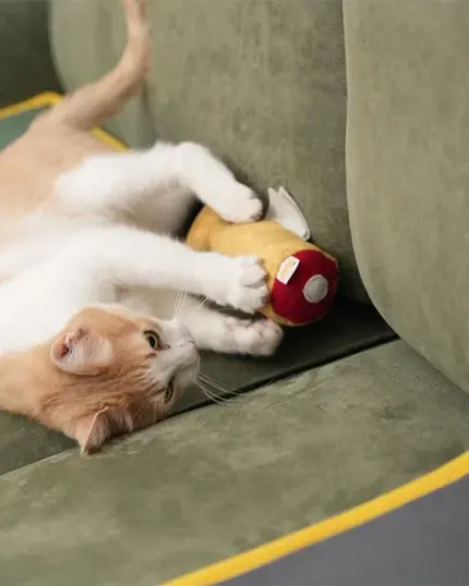 A light brown and white cat lies on a green couch, playfully hugging and biting the Pawdaz Catnip Fish Toy—an interactive plush that offers anxiety relief for cats—perfect for capturing in a custom design pet canvas.