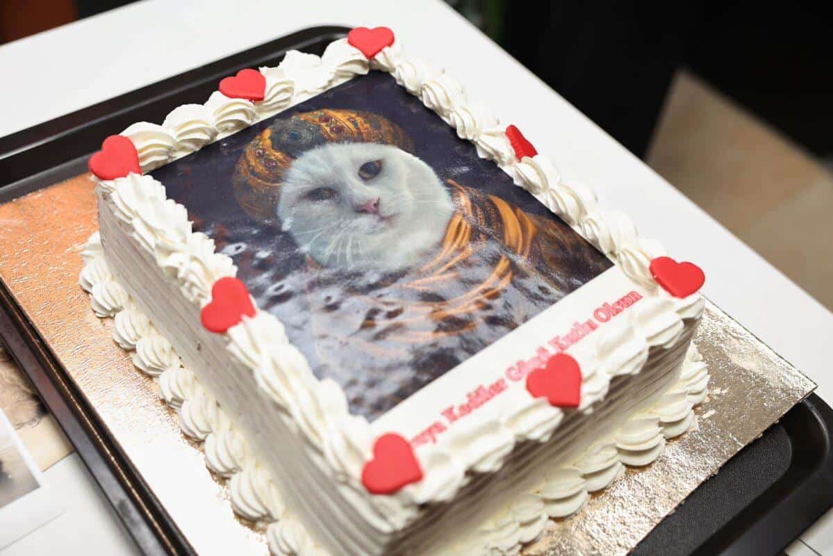 PET KANVAS SANAT SERGİSİ 3