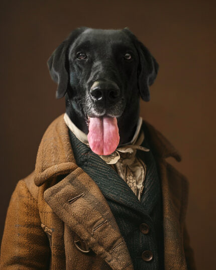 A black dog with its tongue out wears vintage formal attire—a brown coat, green vest, and cravat—against a plain brown backdrop, making The Gentleman – Custom Design Pet Canvas a perfect personalized decor piece.