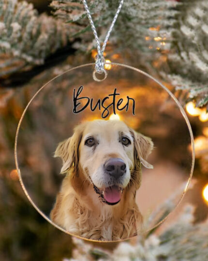 A Personalized Transparent Pet Ornament hangs on a tree, displaying an illustrated golden retriever’s face with "Buster" in black script. Blurred pine needles and glowing lights create a festive background.