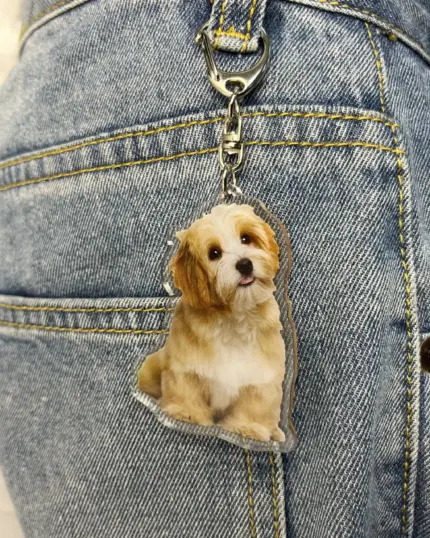 A Personalized Animal Printed Plexiglass Keychain, featuring a photo of a small, fluffy brown and white dog, is clipped to the pocket of blue denim jeans—ideal for fans of pet canvas art.