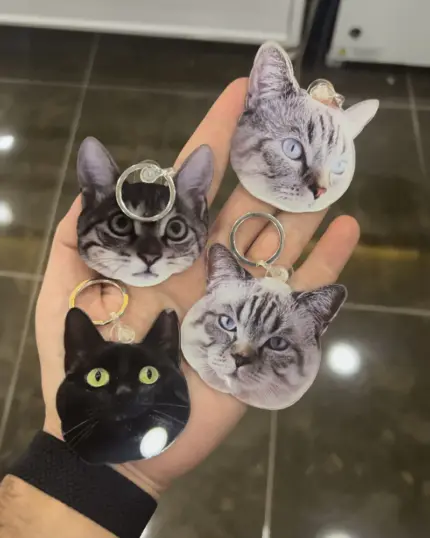A hand holds four Personalized Animal Printed Plexiglass Keychains, each shaped like a unique cat—two gray tabbies, one black with green eyes, and one light gray with blue eyes—ideal as inspiration for your own custom design.