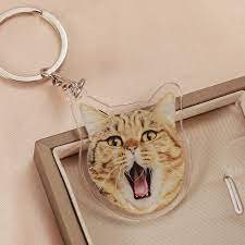 The Personalized Animal Printed Plexiglass Keychain showcases a clear acrylic charm with a surprised or yawning tabby cat face—an ideal gift for fans of custom pet designs and unique canvas printing inspired by their beloved animals.