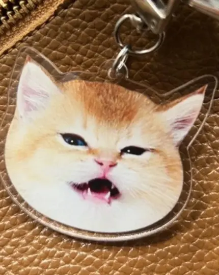 The Personalized Animal Printed Plexiglass Keychain displays a light orange and white cat with a funny, expressive face—ideal for pet canvas lovers. The keychain is shown on a textured brown surface, possibly a bag.