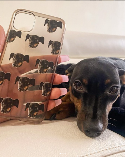 A hand holds a Custom Pet Phone Case featuring repeated images of a black and tan dog's face, while the same dog lounges nearby on a white couch, showcasing the personalized touch of custom pet designs.