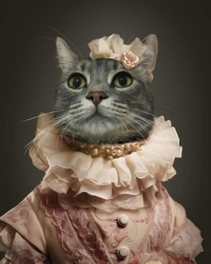 İnci ve baş süslemeli vintage pembe dantel elbise giymiş gri tekir kedi, koyu renkli arka planda yukarıya doğru bakıyor. Benzersiz evcil hayvan kanvas baskısı için ideal olan "Sofistike Kadın – Özel Tasarım Evcil Hayvan Kanvas"ta yer alıyor.