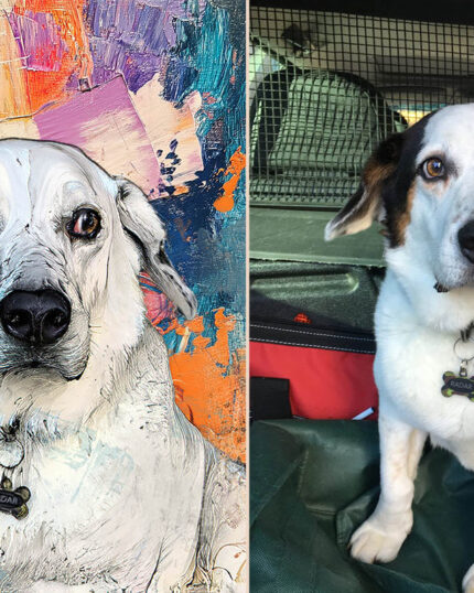 Two side-by-side images: a photo of a white dog with black ears sitting in a vehicle, and a vibrant Custom Design Abstract Pet Portrait featuring the same dog wearing a name tag.