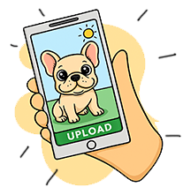 A cartoon hand holds a smartphone displaying a photo of a cute tan puppy sitting on grass with a bright sun in the sky. The screen shows a green UPLOAD button at the bottom.